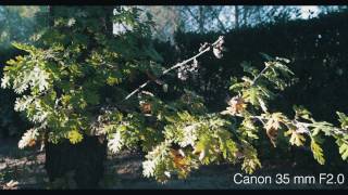 Canon 5D mark IV 4K Video