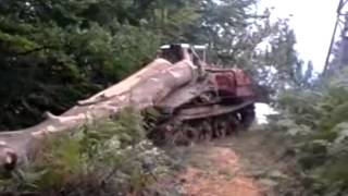 TDT 55-A Traktor skidder  Srbija Serbia Сербия DEO 3