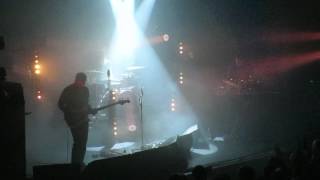 Dolphin Дельфин Собака Космонавт Санкт-Петербург 08.10.2016
