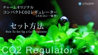 【チャーム】 チャームオリジナルCO2フルセットで水草を育成