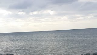 Modern Çağın Pinokyosu Yeni Hikaye Hakkında