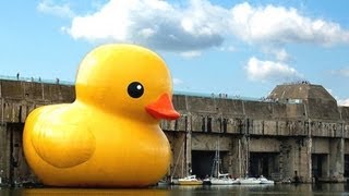 Bubberducky