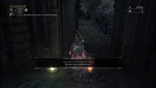 Bloodborne pvp ?