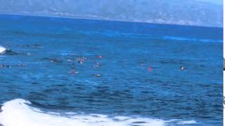 Ho'okipa Beach Maui Hawaii United States