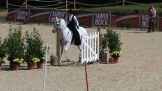 equitation de travail au portugal