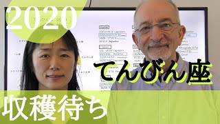 てんびん座 2020 「収穫」までの過ごし方