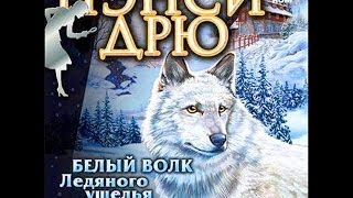 ~Снова знакомства~Белый волк Ледяного ущелья.Часть 1