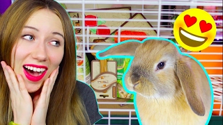 ПЕРВЫЕ ПОКУПКИ КРОЛИКА | МОЙ КРОЛИК - НОВЫЙ ПИТОМЕЦ | ПОКУПКИ ИЗ ЗООМАГАЗИНА | Elli Di Pets