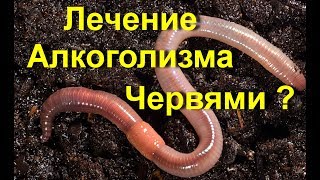 Лечение Алкоголизма червями ! Алкоголизм и дождевые черви - терапия при алкоголизме