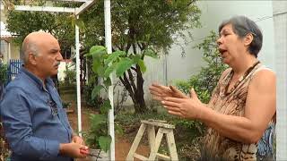 766 ) – 4 ° PARTE – EXEMPLO DE COMO PODAR UMA VIDEIRA- S.B.C  SP    1310aaa