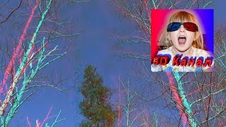 Анаглиф 3D видеоролик. Деревья