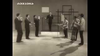 ვია დიელო 1965. ბუბა კიკაბიძე. via deolo . buba kikabidze