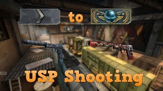 Silver 1 to Global Elite ★ USP shooting