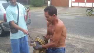 Anaconda-lac bois diable' Kourou