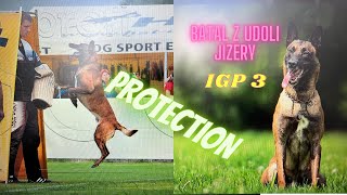 BATAL z Údolí Jizery 15 moths protection work