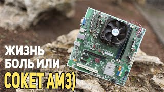 Можно ли выжить на сокет Am3 ?))