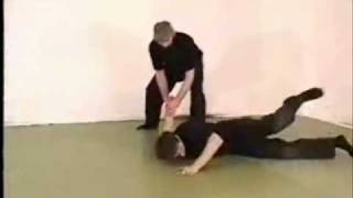 Ninjutsu Moshe Kastiel Bujinkan Taijutsu