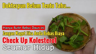JUTAAN ORANG INDONESIA BELUM TAHU..., BEGINI CARA MENGOLAH SELEDRI UNTUK KOLESTEROL TINGGI