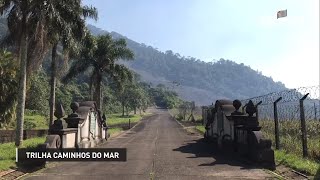 Trilha Caminhos do Mar