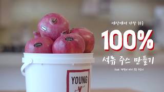 세상에서 가장 쉬운 100% 석류 주스 만들기(feat.해밀턴비치 932착즙기)