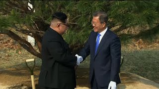 Raw: Kim, Moon Plant Tree, Continue Talks