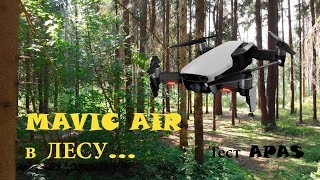 Mavic Air в лесу. Жесткий тест APAS Mavic Air