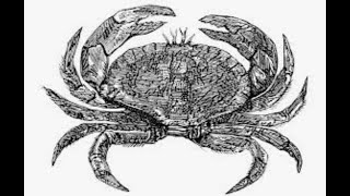 Sex & the Cancer Astrology Sign | Zodiac Love Guide