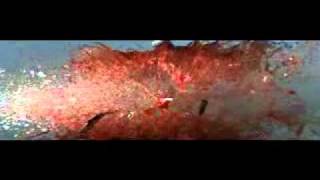 Летяшая пуля flv