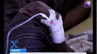 Вирус Эбола превращает людей в зомби  Х версии  Другие новости  1800 будни