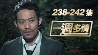 一週多情 EP238-242 | 豪門身世大醜聞！餐飲集團少爺竟是女傭之子！