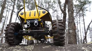 Moss Rock Crawling