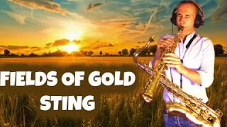 Fields of Gold (Sting) Soprano and Tenor saxophone cover