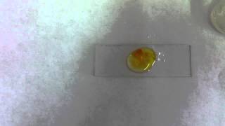 Img 0471 JWH 018