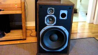 Pair of Pioneer CL-100 Speakers