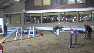 Agility Wintercompetitie The German Legends de Estafette van 9 februari