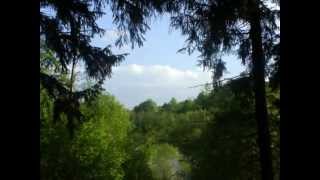 Лиозно.Окрестности летом.