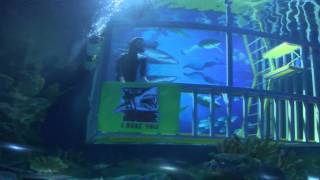 Aquaria KLCC, Kuala Lumpur, Malaysia (FHD)
