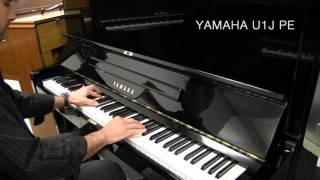 Magazin "Gramofon".  Классическое фортепиано Yamaha U1J PE.