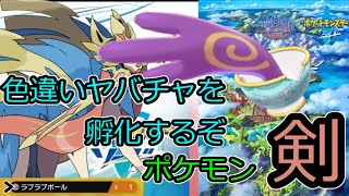 色違いのヤバチャ→エレズンを孵化厳選するぞ 　その2【ポケモン ソード】