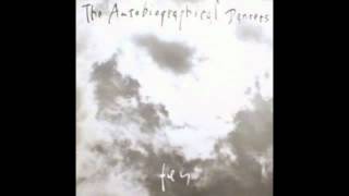 The Autobiographical Dancers / Night Falls