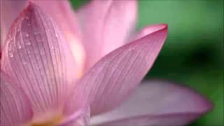 Feminize Yourself Part Two ESTROGEN Video 1351Hz