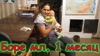 Боре мл. 1 месяц. Плановый обход врачей. (11.17г.) Семья Бровченко.