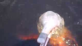 Boto - Amazon Dolphin