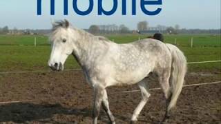 t olde manegepeerd