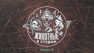 Подкаст «Животные в Cтудии». Выпуск 91. Школа магии и алкоголизма