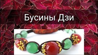 БУСИНЫ ДЗИ