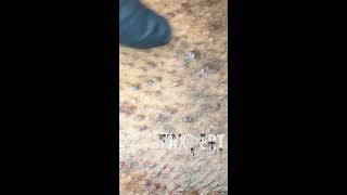 Urban Extraction Episode 3