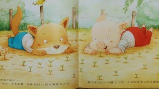 瞳心粵語故事10 - 老婆婆的種子
