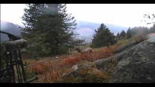 Idaho Archery Elk Hunt - Boulder Creek Outfitters