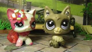 LPS сериал:  Некрасивая 12 серия/ Ugly (episode 12 )